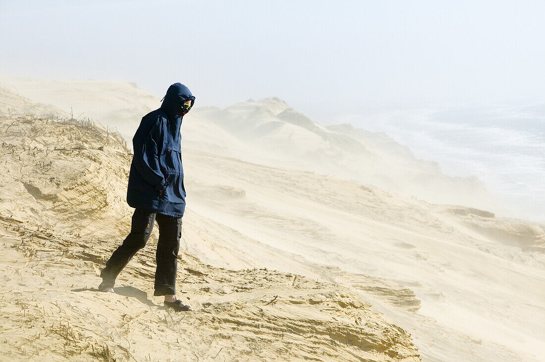Man on sand dunes, Rubjerg, Jutland, Denmark