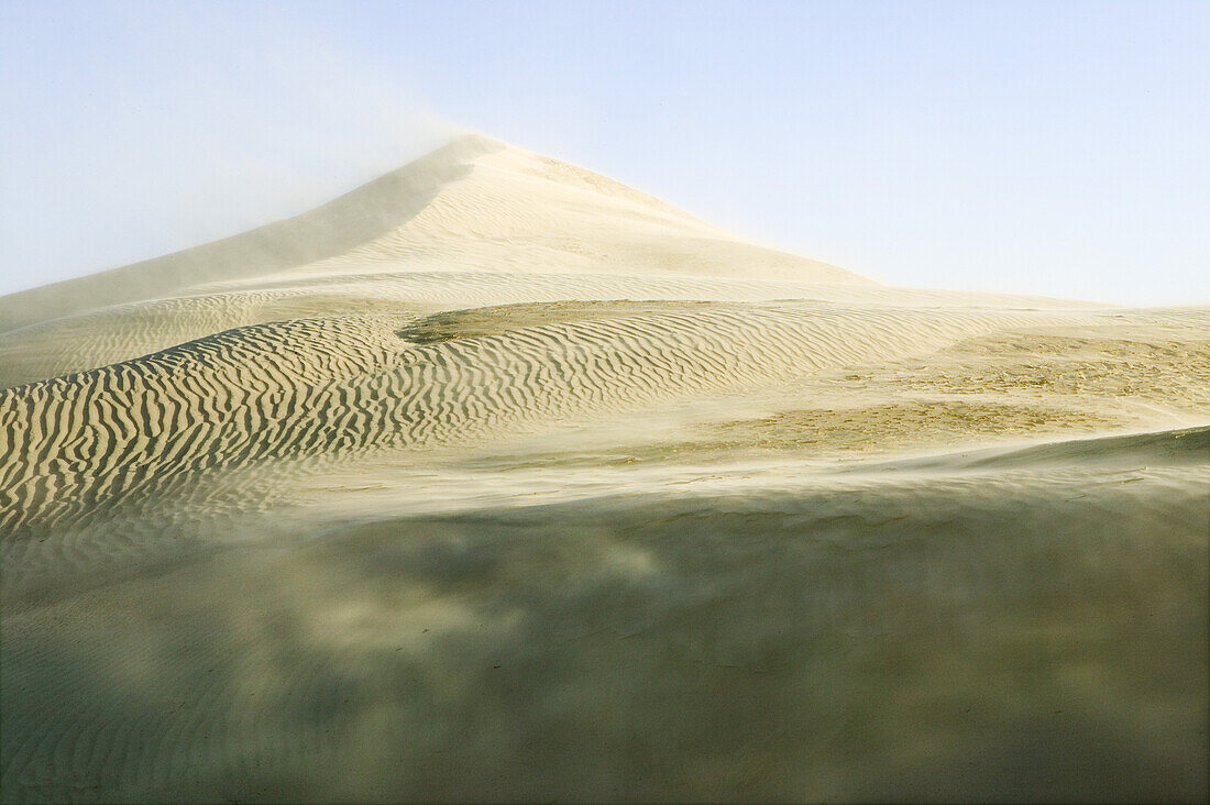 Sand dunes, Rubjerg, Jutland, Denmark