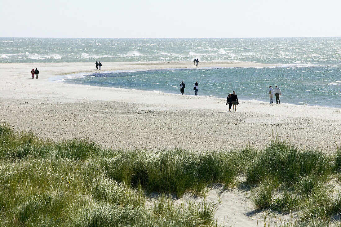 People are walking on beach, the farthest headland where Skagerrak and the Kattegatt meet, Skagen, Jutland, Denmark