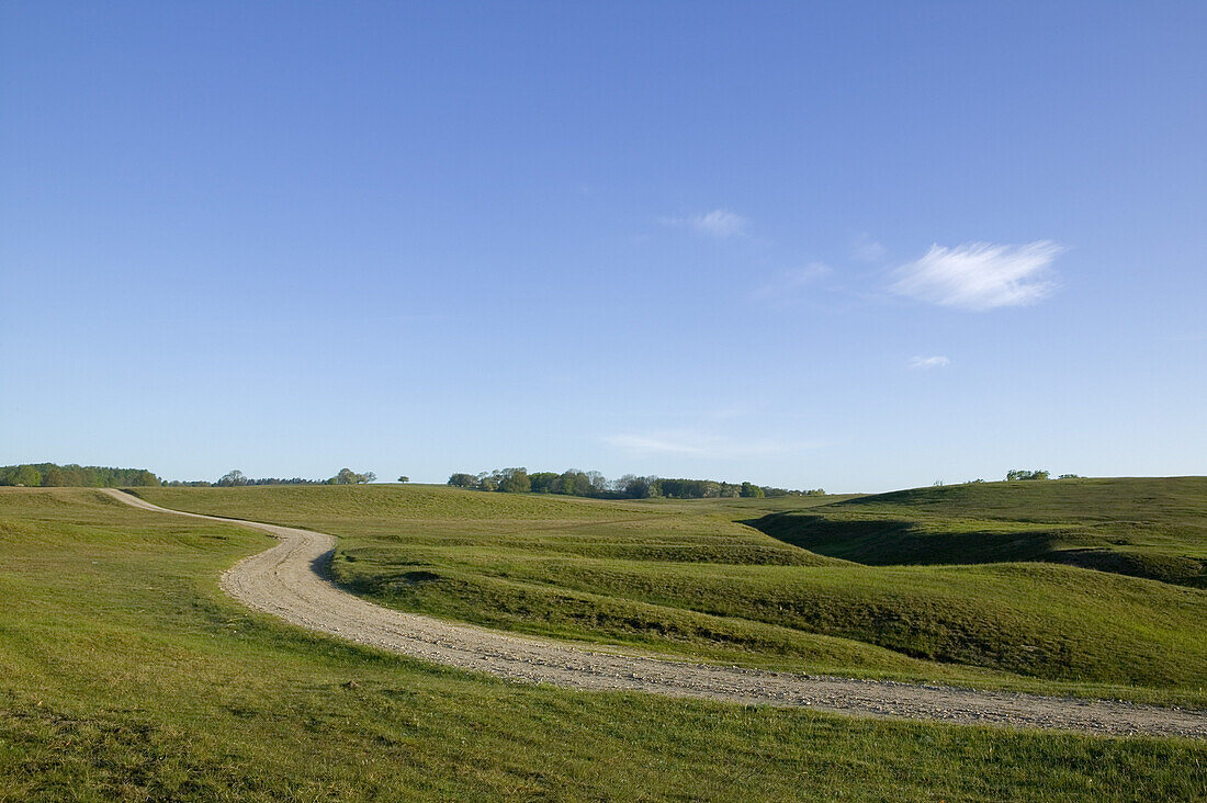 Gravel road in plain landscape, Skåne, Sweden