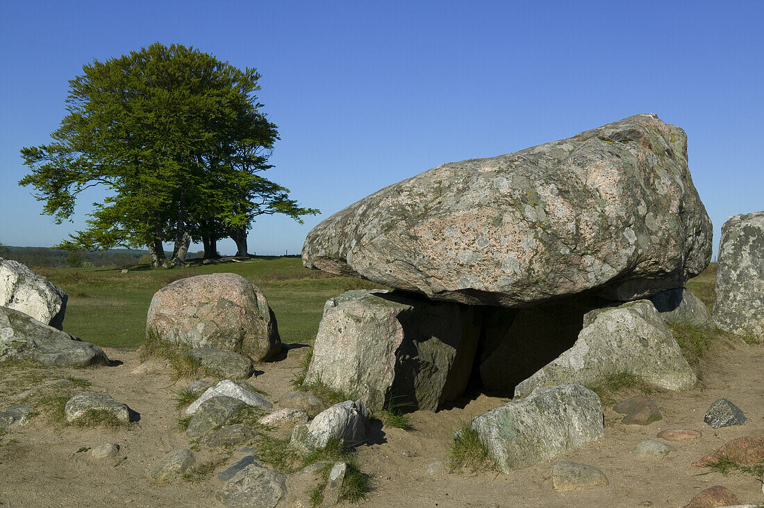 A grave from the Stone Age, osterlen, Skane, Sweden