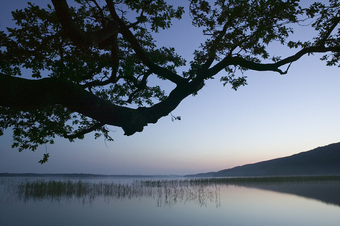 Västersjön, Ängelholm, Skåne, Sweden