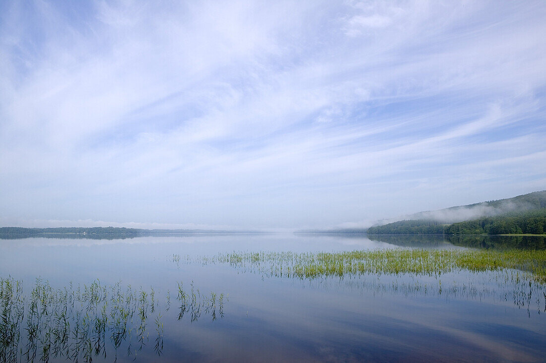 Västersjön, Ängelholm, Skåne, Sweden