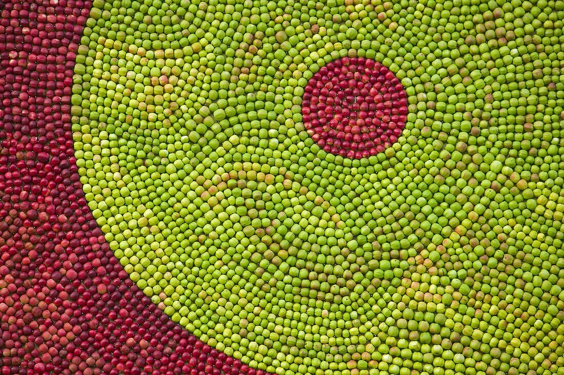 Art of apples, Kivik, Österlen, Skåne, Sweden