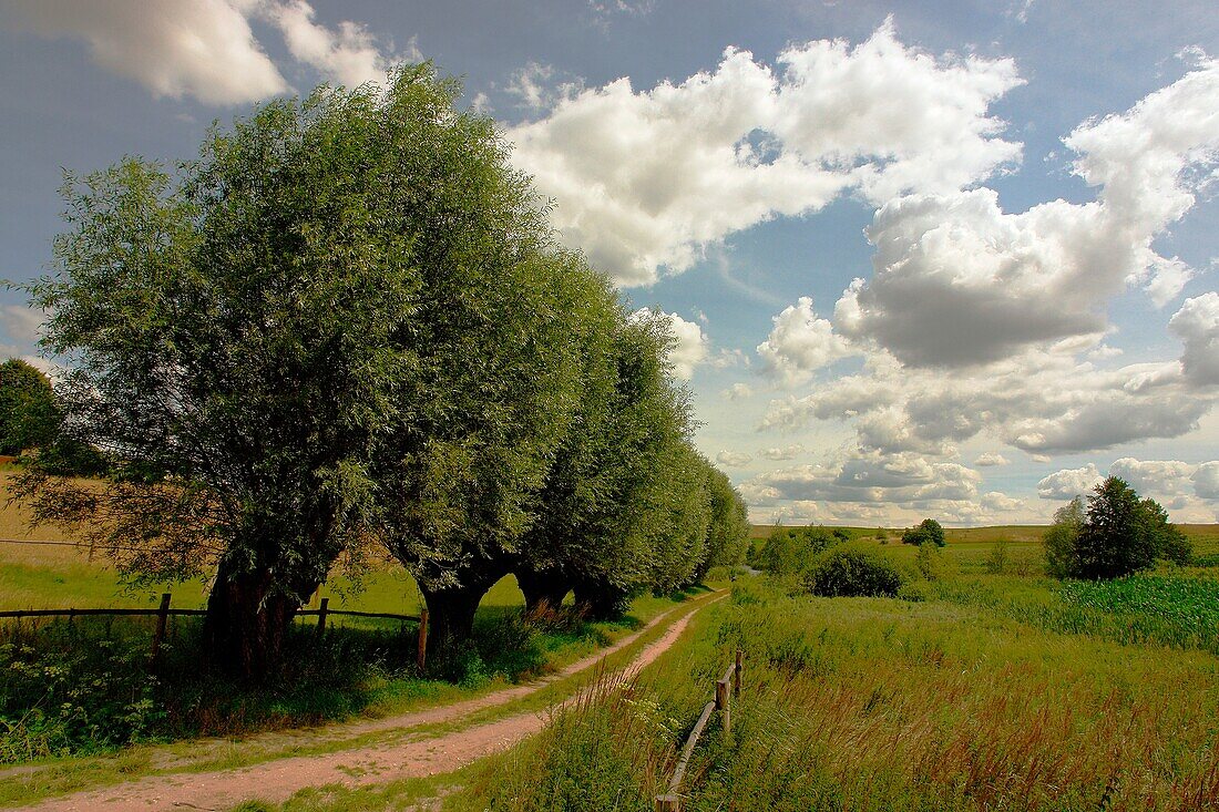 Poland  Mazowsze region