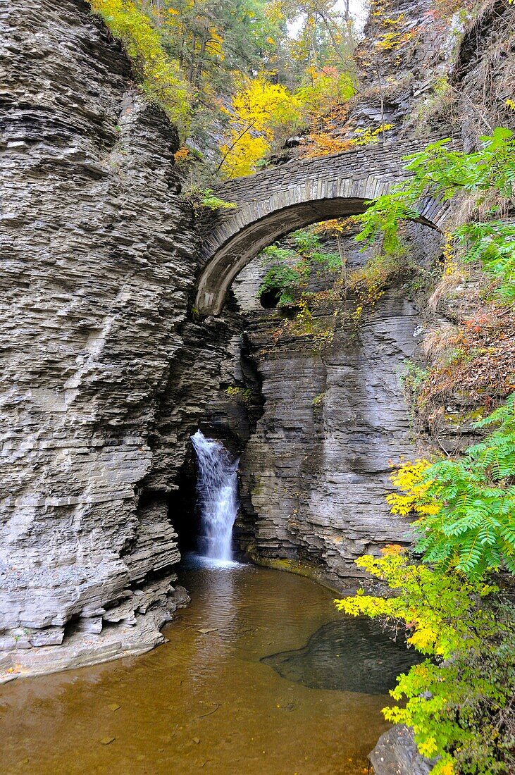 Sentry Bridge at Watkins Glen State Park Finger Lakes Region New York Lake Seneca