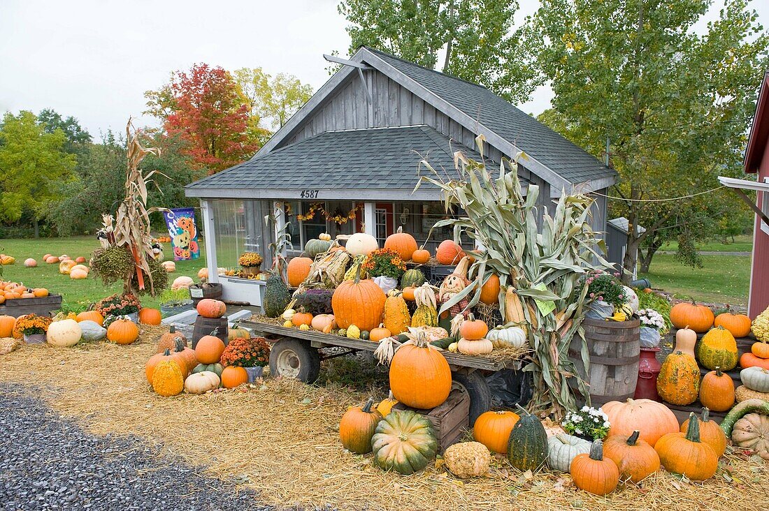 Roadside Stand in Finger Lakes Region New York