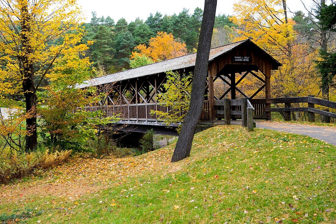 Thomas Kelly Covered Bridge Allegany State Park New York