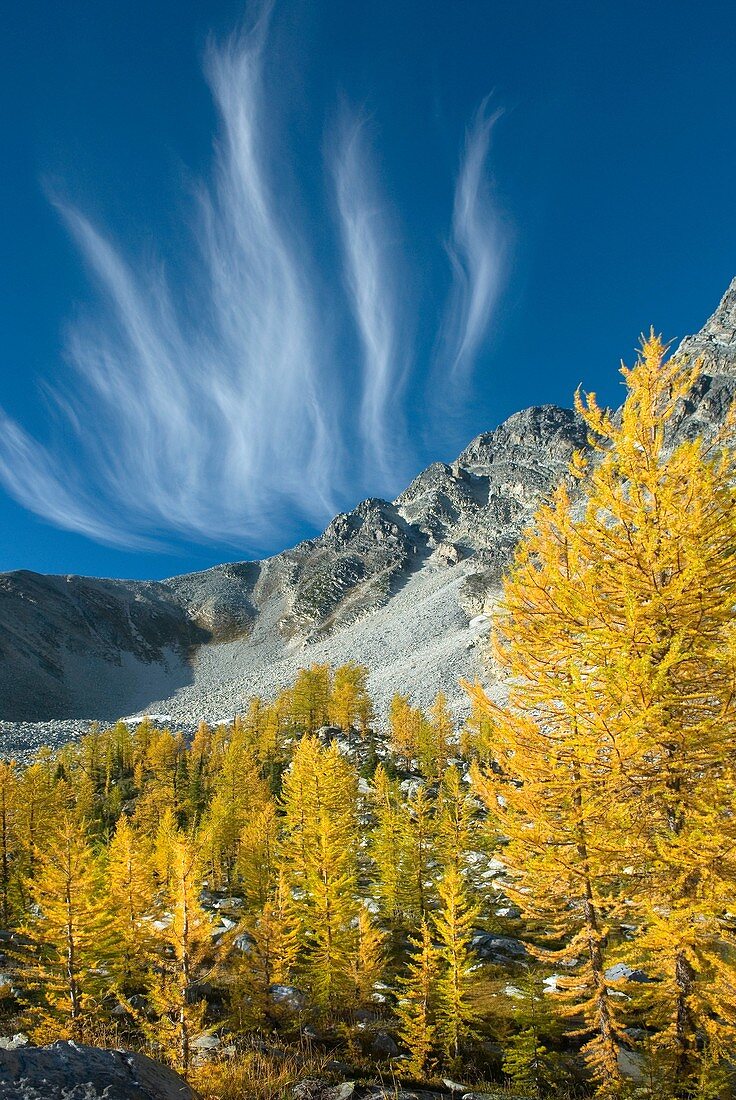 Wispy clouds over Mount Monica, Purcell Mountains British Columbia