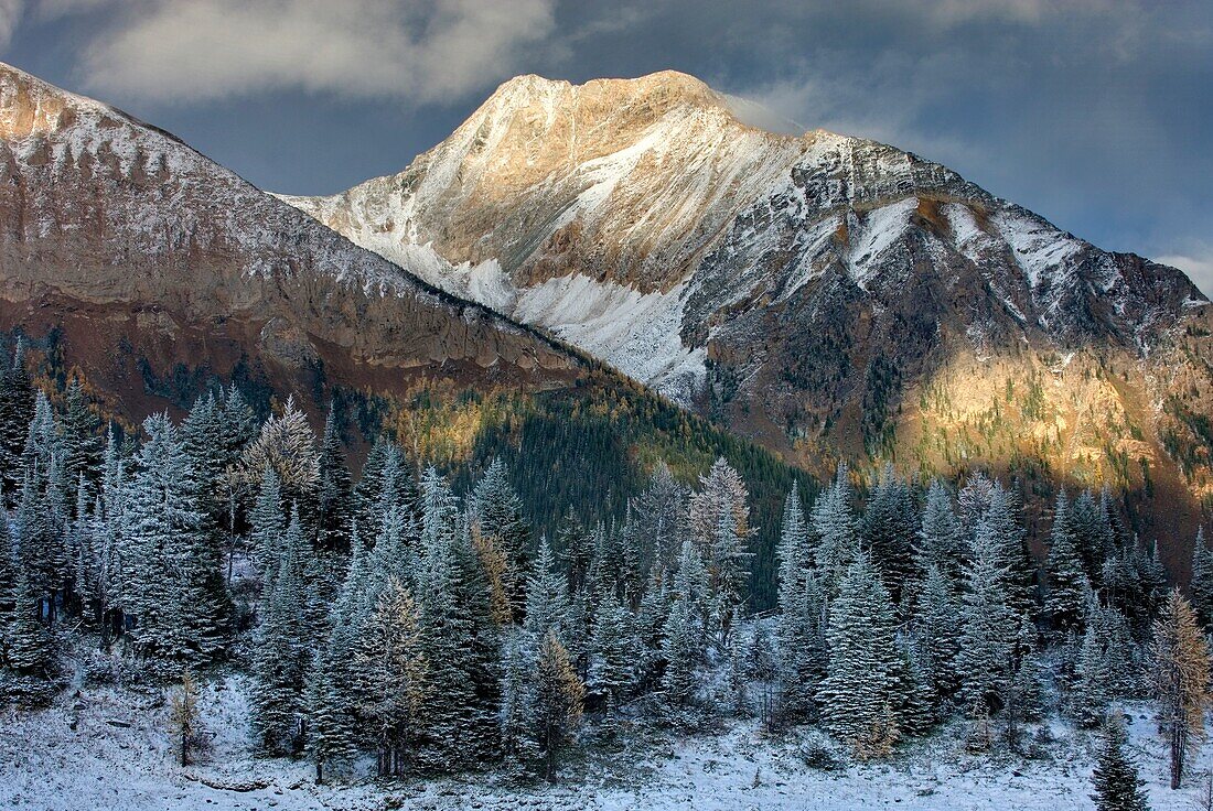 Clearing autumn storm at Jumbo Pass, Purcell Mountains British Columbia Canada