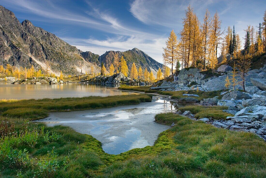 Alpine larches Larix lyallii and tarn in Monica Meadows, Purcell Mountains British Columbia