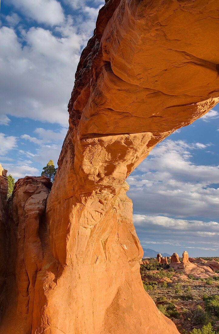 Tapestry Arch, Arches National Park Utah USA