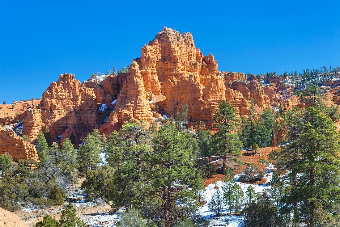 Hoodoos and rock formations in Casto Canyon of Red Canyon, Dixie National Forest Utah