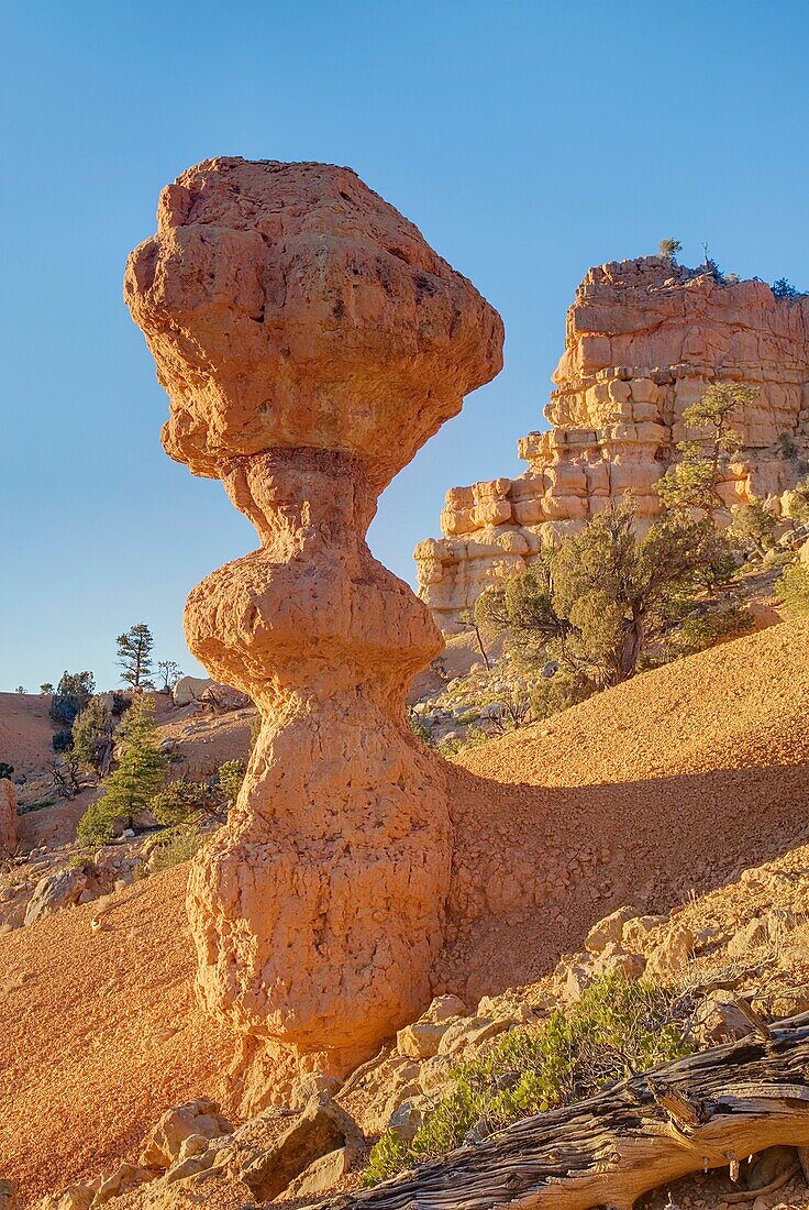 Hoodoos and rock formations in Losee Canyon of Red Canyon, Dixie National Forest Utah
