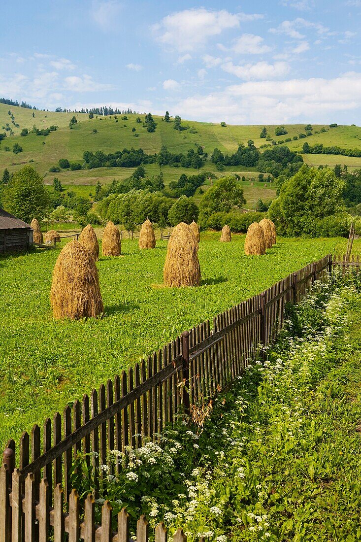 Near Guru Humurului  Bucovina  Romania