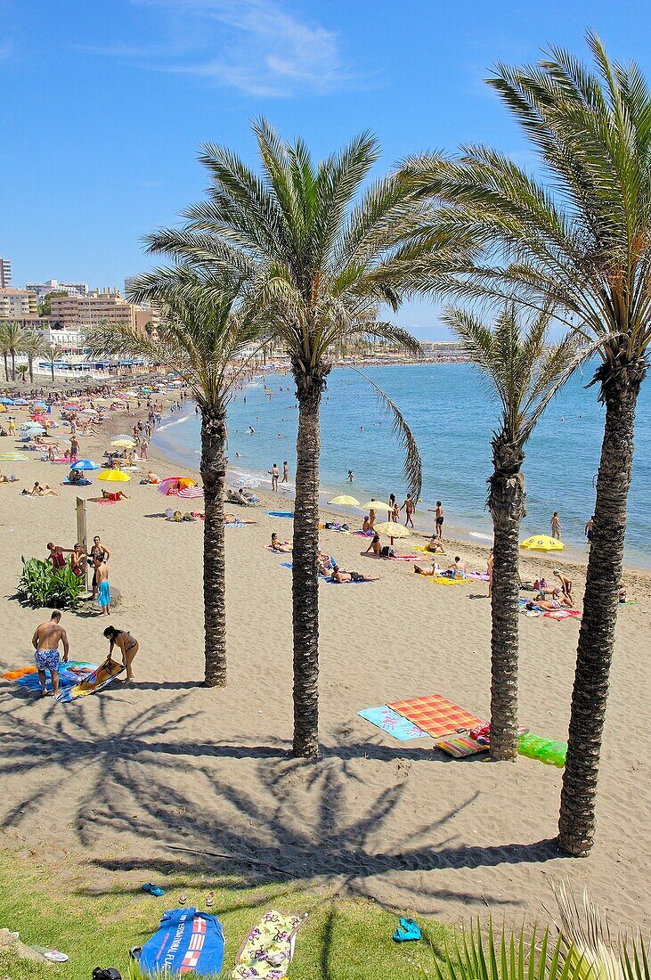 Beach in high season, Benalmadena. Costa del Sol, Malaga province, Andalusia, Spain