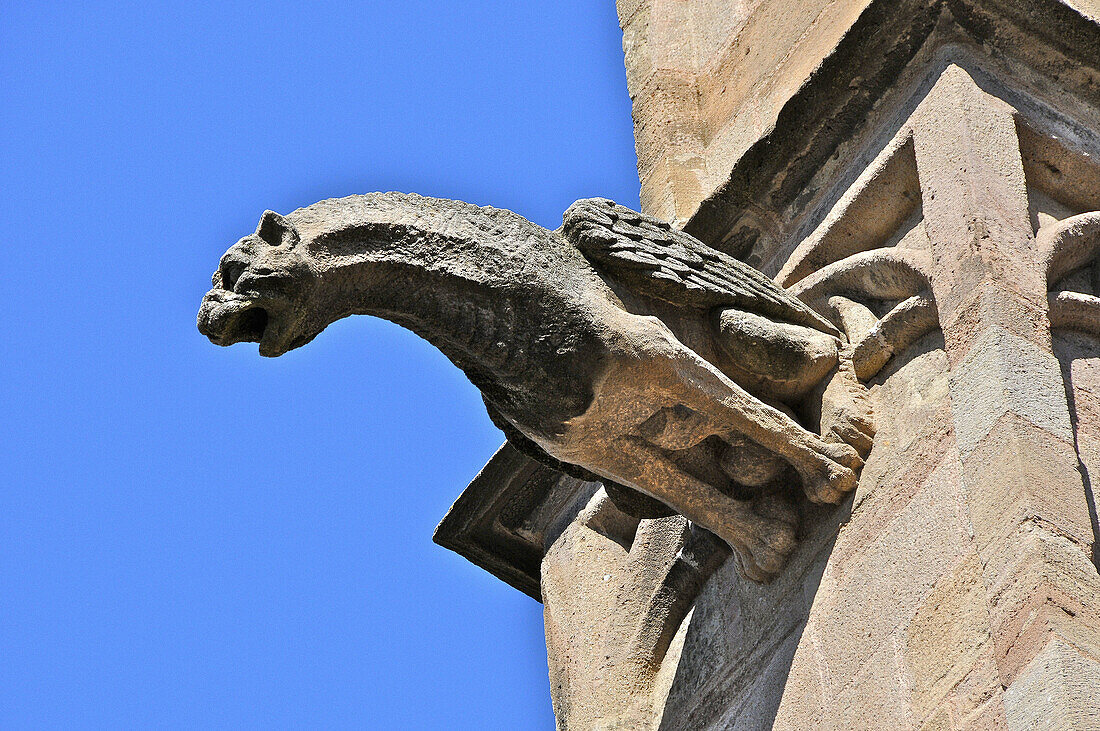 France, Aveyron 12, Rodez, capitale du Rouergue, les gargouilles de la cathédrale Notre Dame