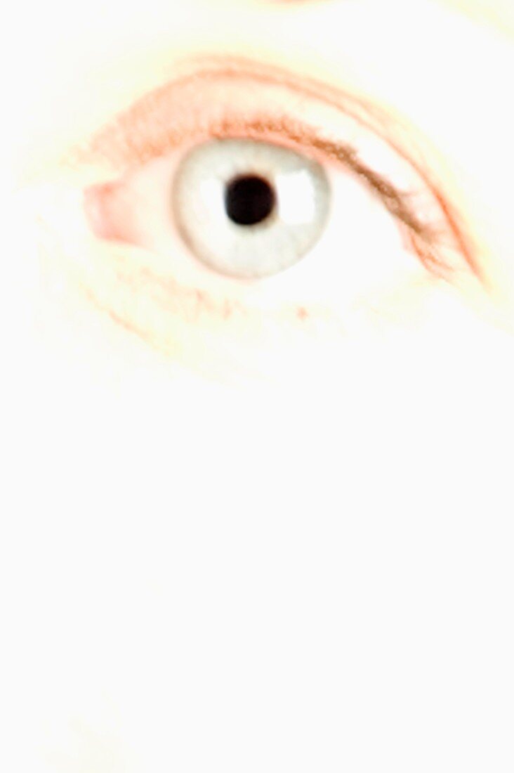 Aufmerksam, Aufmerksamkeit, Auge, Augen, Beobachtung, Big Brother, Blauäugig, Blaue Augen, Eine Person, Eins, Erwachsene, Erwachsener, Farbe, Fremd, Grosser Bruder, Konzept, Konzepte, Mensch, Menschen, Nahaufnahme, Nahaufnahmen, Saskia, Seltsam, Sicht, Si
