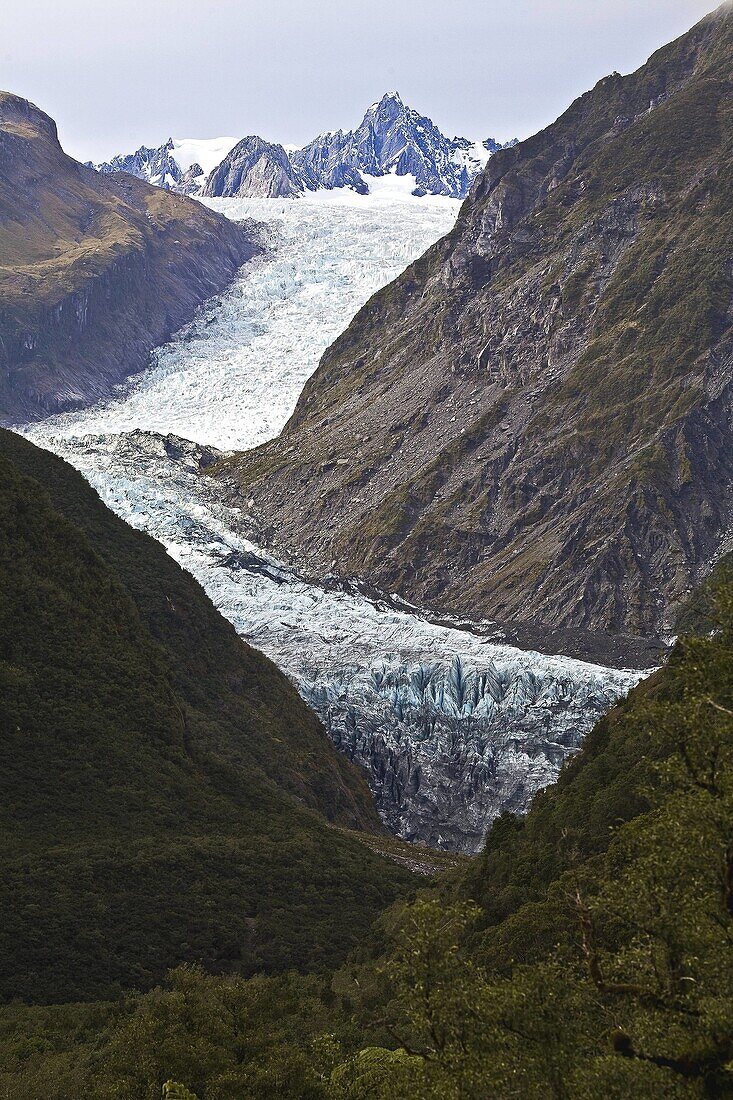 New Zealand, New Zealand, Weheka, Fox Glacier Te Moeka o Tuawe with Mount Halcombe and Mount Tasman in the background