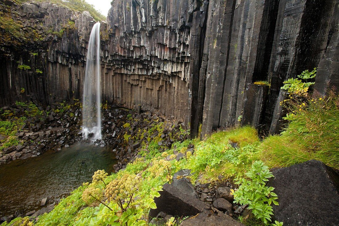 Basalt, Column, Geology, Iceland, Landscape, Landscapes, nature, Rock, scenic, Scenic, Scenics, Texture, Waterfall, S19-922349, agefotostock 