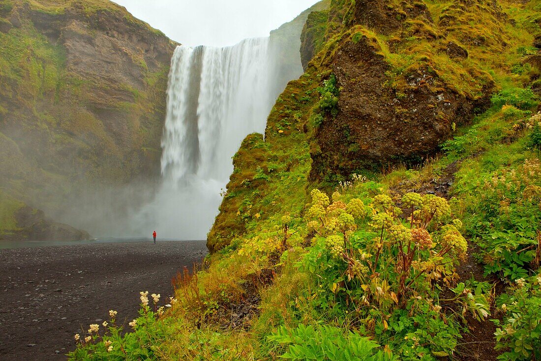 Iceland, Landscape, Landscapes, nature, Power, River, scenic, Scenic, Scenics, Selfoss, Skogafoss, Waterfall, S19-922356, agefotostock 