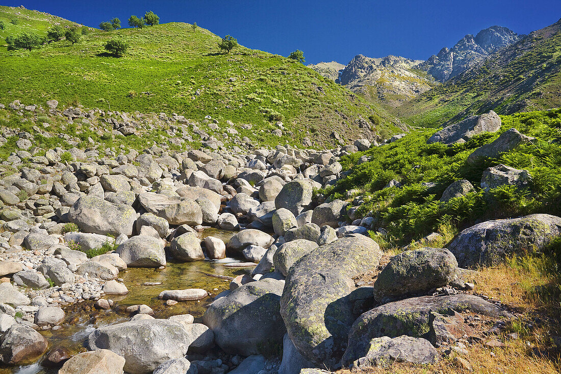 Garganta de Chilla. Sierra de Gredos. Castilla León. España.