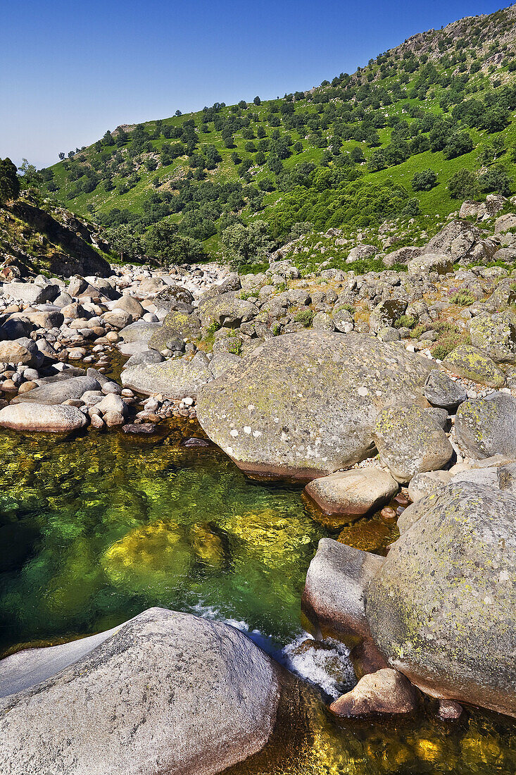 Garganta de Chilla. Sierra de Gredos. Castilla León. España.