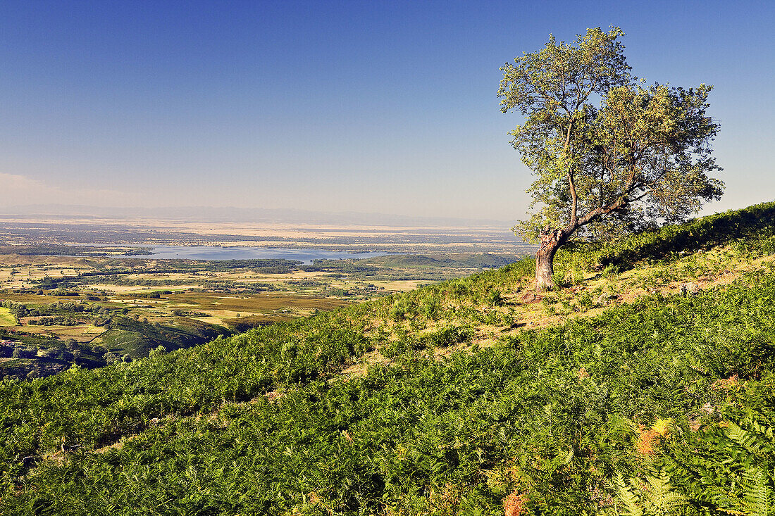 Valle del Tietar y embalse de Rosarito desde la garganta de Chilla. Castilla León. España.