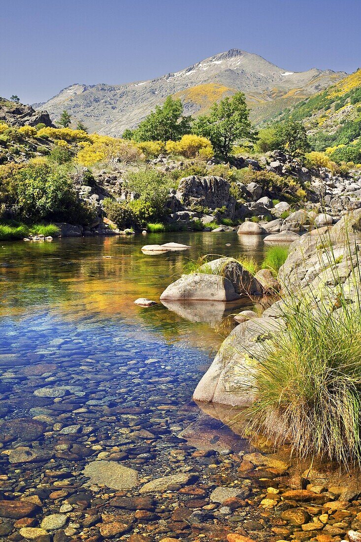 El Cervunal desde la garganta de Gredos  Sierra de Gredos  Castilla León  España