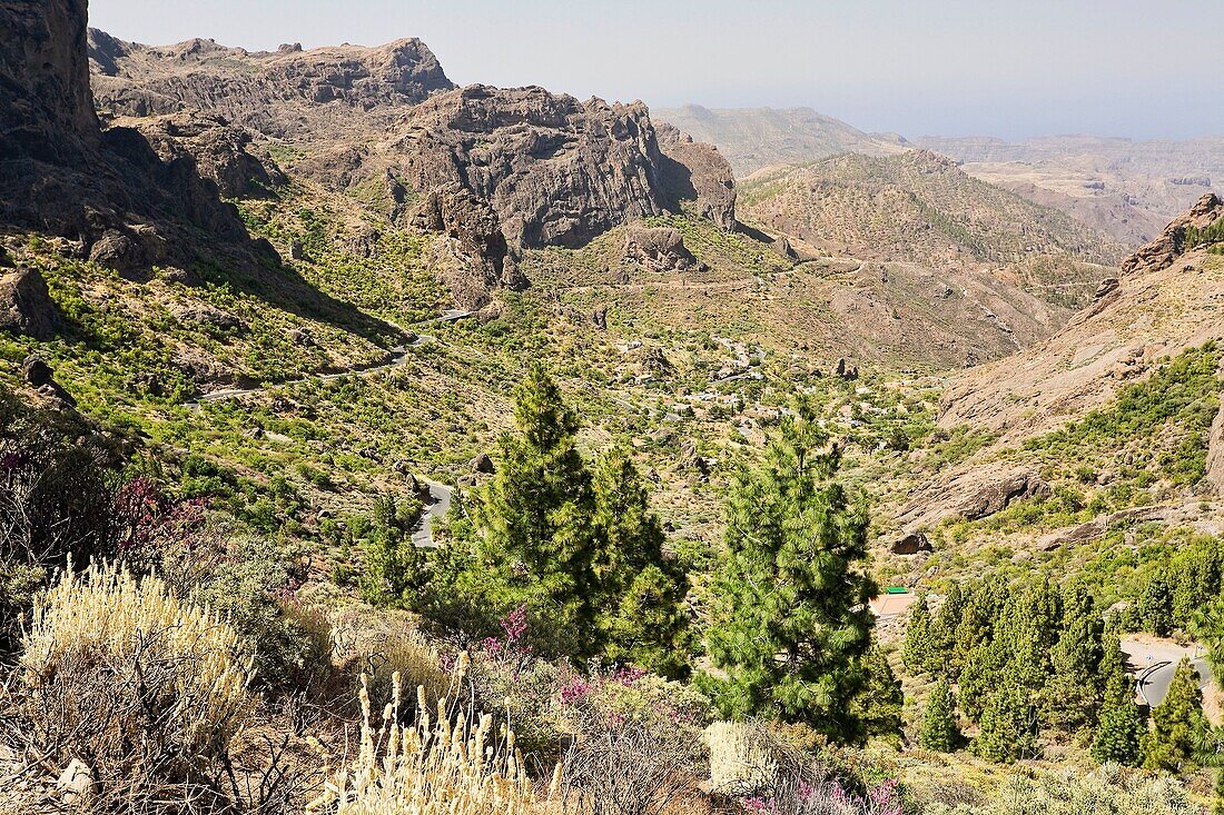 Tejeda  Gran Canaria  Islas Canarias  España
