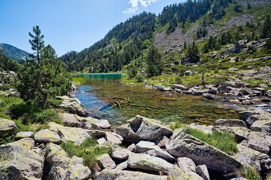 Les Laquettes  Reserva Natural de Néouvielle  Pirineos  Francia  Europa