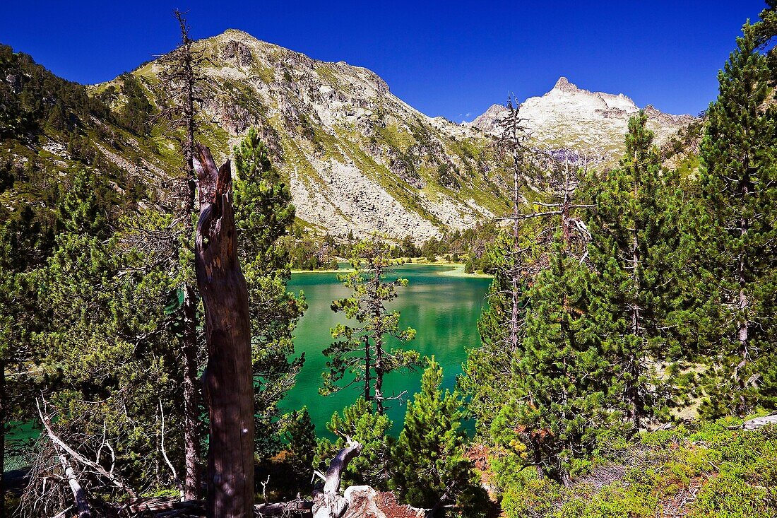 Les Laquettes  Reserva Natural de Néouvielle  Pirineos  Francia  Europa