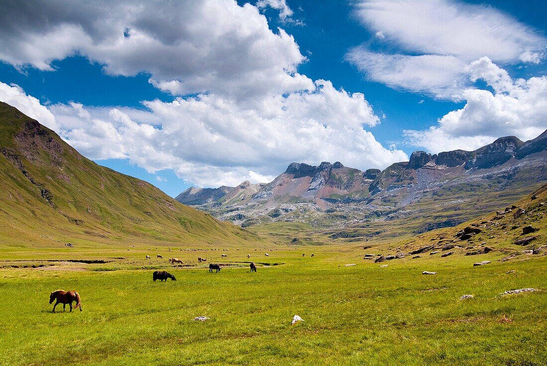 Aguas Tuertas. Pirineos. Huesca. Aragón. España.