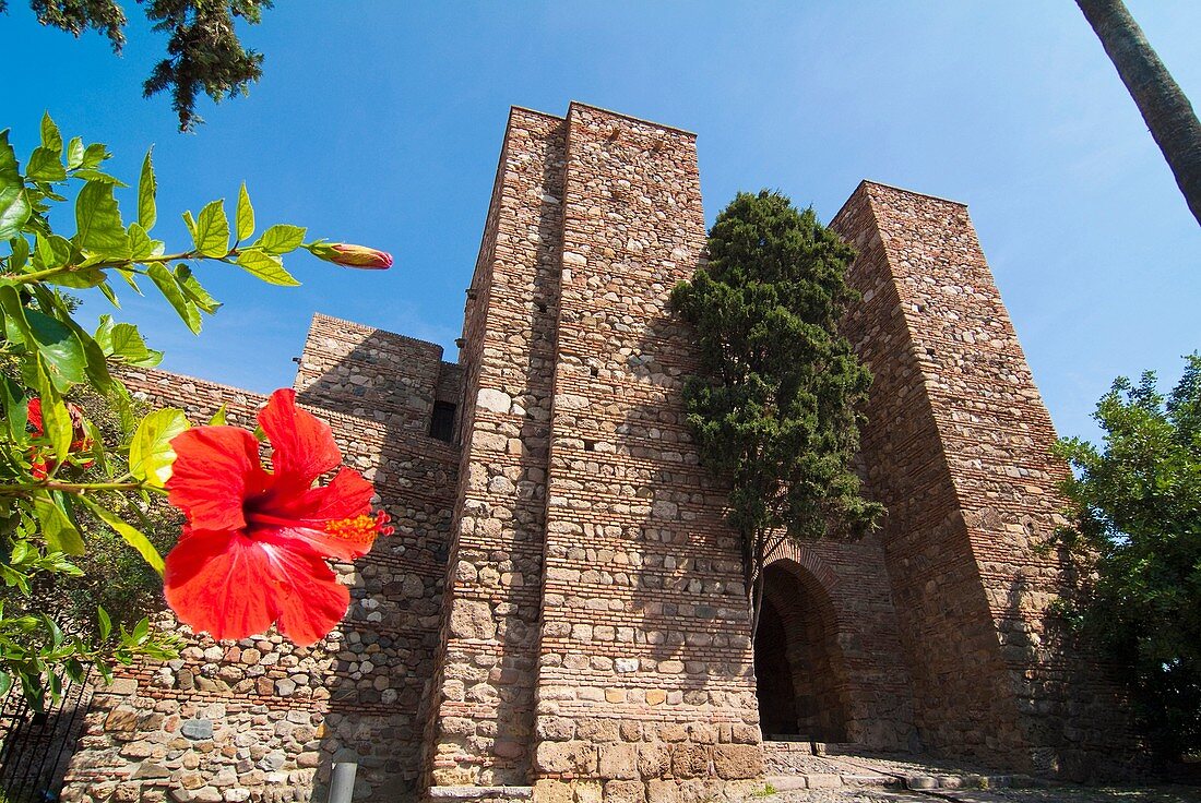 Alcazar de Malaga  Andalucia  España