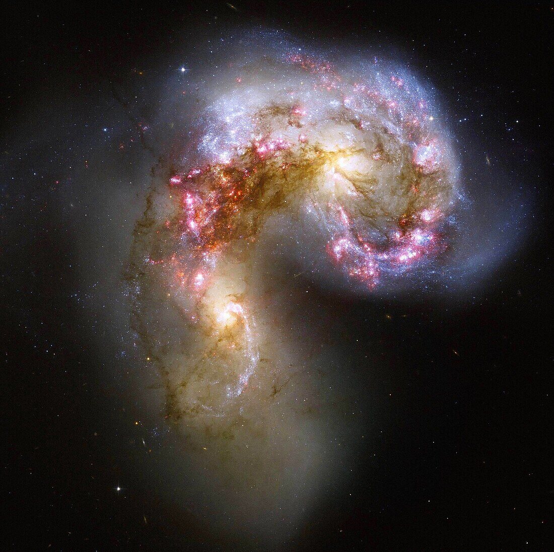This image of the Antennae galaxies is the sharpest yet of this merging pair of galaxies  During the course of the collision, billions of stars will be formed  The brightest and most compact of these star birth regions are called super star clusters   The