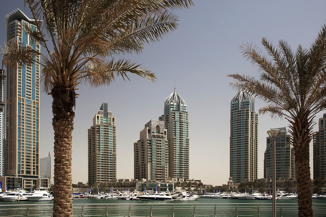 Dubai Marina, Dubai, United Arabian Emirates