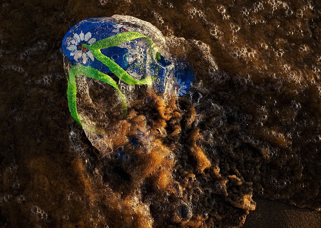 Shoe between the foam of the waves on the beach