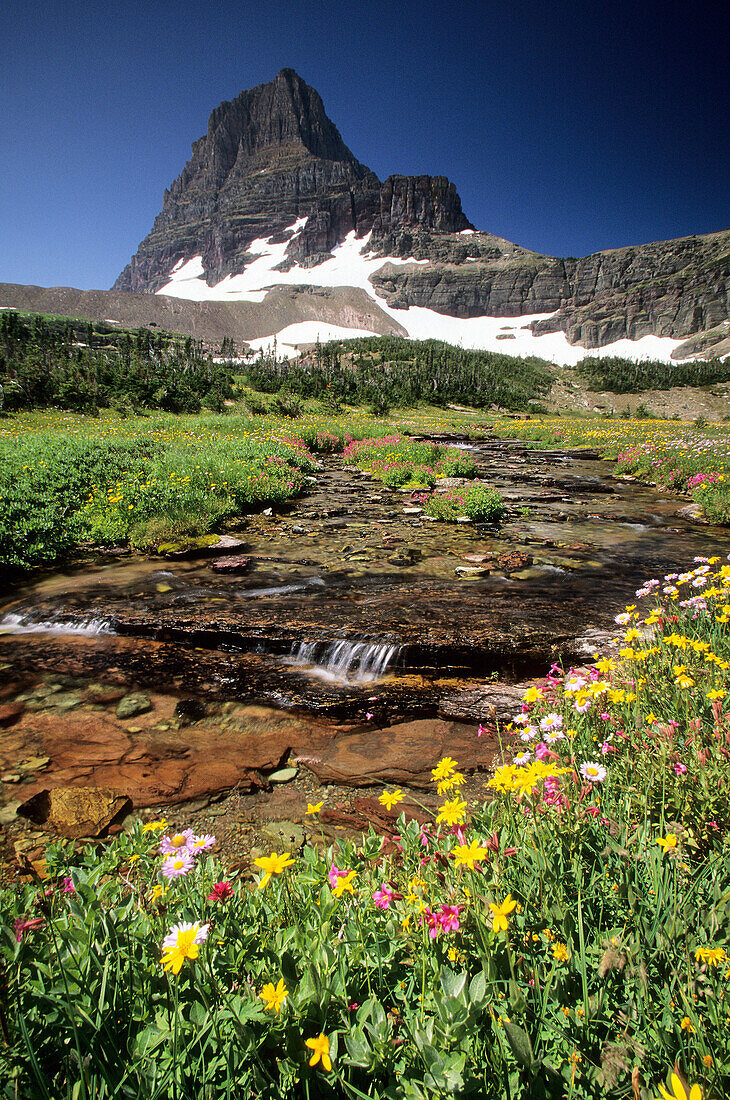 Water cascades down from Reynold Mountain at Logan Pass in Glacier National Park Montana