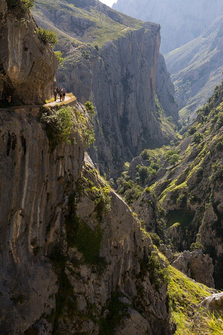 Hikers walking along the route of the Cares Canyon, in the Picos de Europa National Park, between the Urrieles and Ándara massifs, Poncebos, Cantabria, Spain