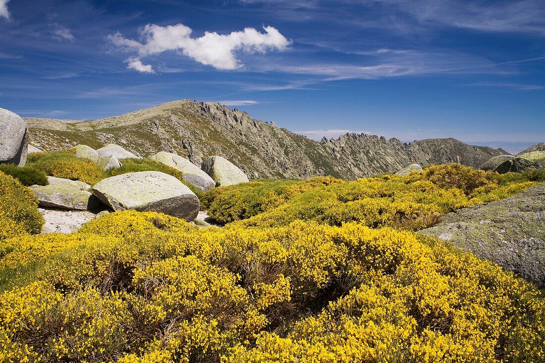 Summit of La Mira 2 341 m in the mountains of the Sierra de Gredos National Park  Navacepeda de Tormes  Ávila  Castilla y León  Spain