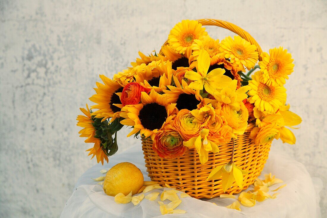 Photo Joergen Larsson Sunflowers in yellow basket