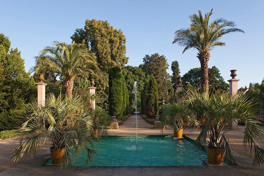 Palm garden, spa park, Bad Pyrmont, Weserbergland, Lower Saxony, Germany