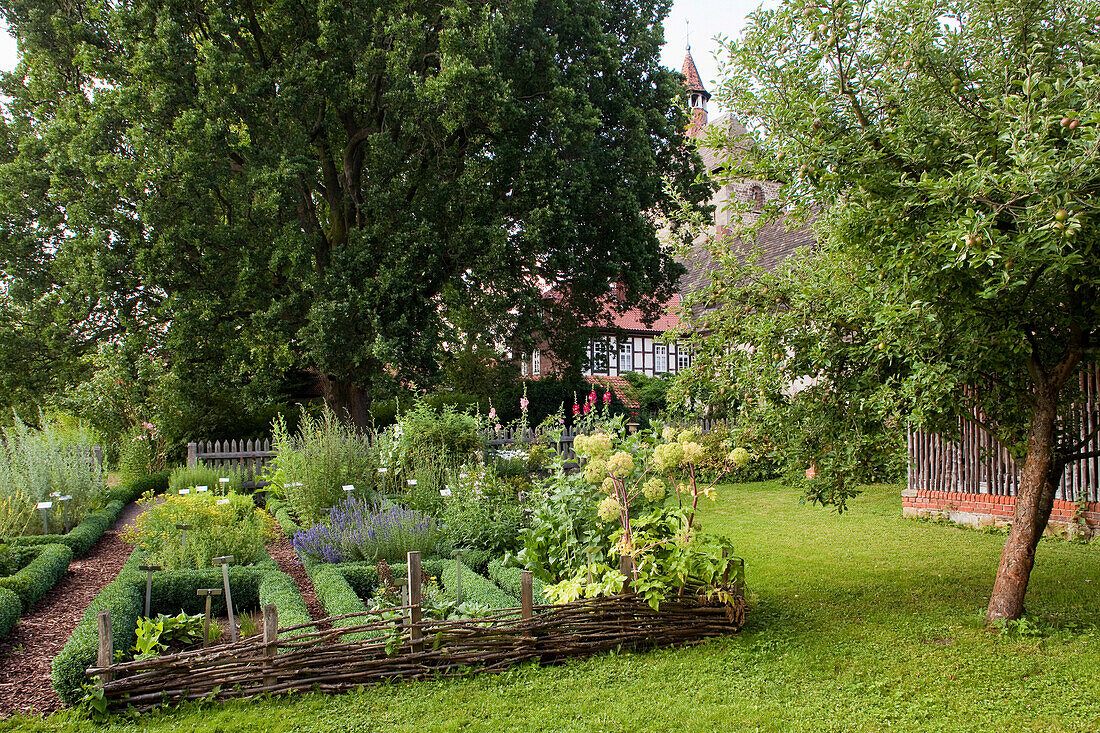 Herb garden, Fischbeck Abbey, Hessisch Oldendorf, Lower Saxony, Germany