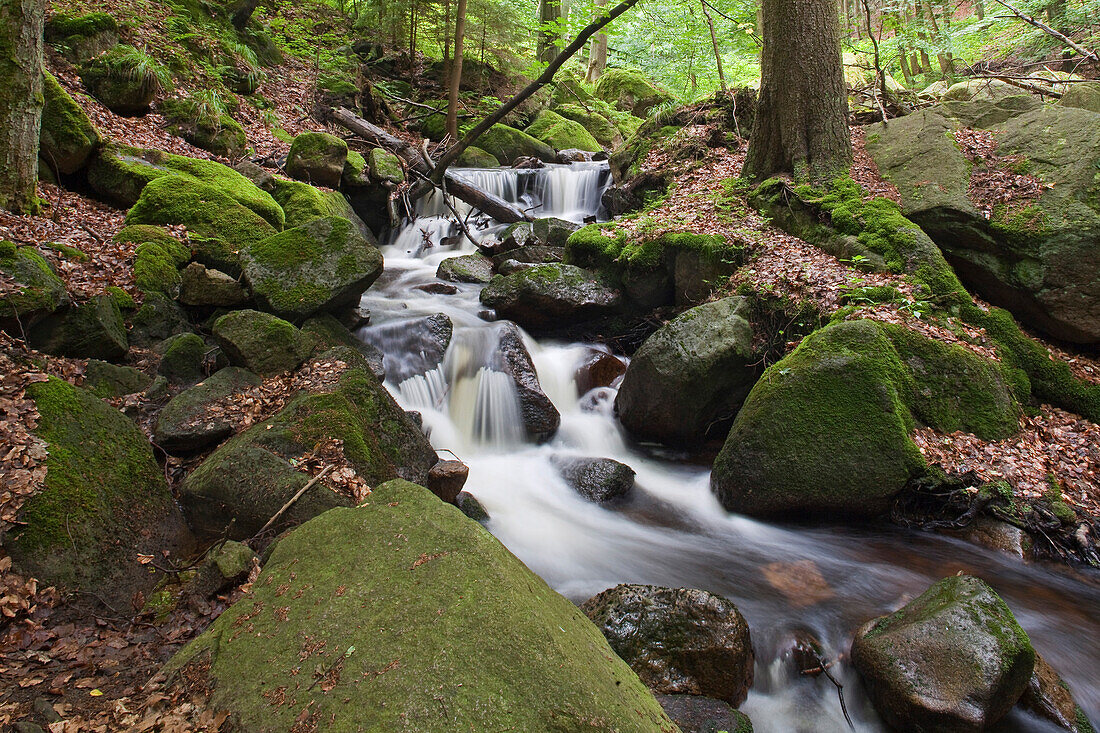 Ilse waterfalls, Heinrich-Heine-path, Harz Mountains, Saxony-Anhalt, Germany