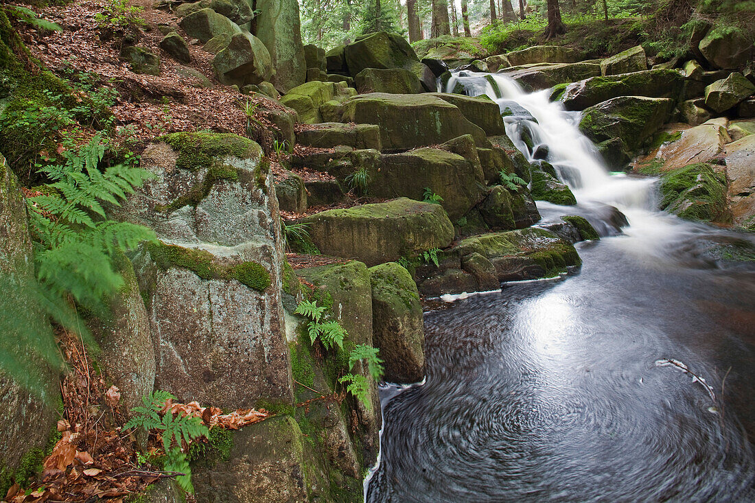 Waterfalls, Ilse mountain stream flowing over mossy rocks, Heinrich Heine walking trail, Harz Mountains, Saxony Anhalt, Germany