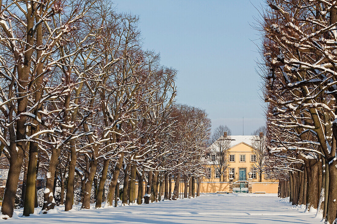 Snow-coverd alley, Herrenhausen Gardens, Hardenberg Manor House in background, Hanover, Lower Saxony, Germany