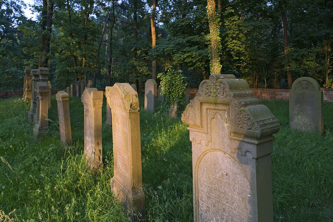 Gravestones in a Jewish cemetery, Neustadt am Rübenberg, Lower Saxony, northern Germany