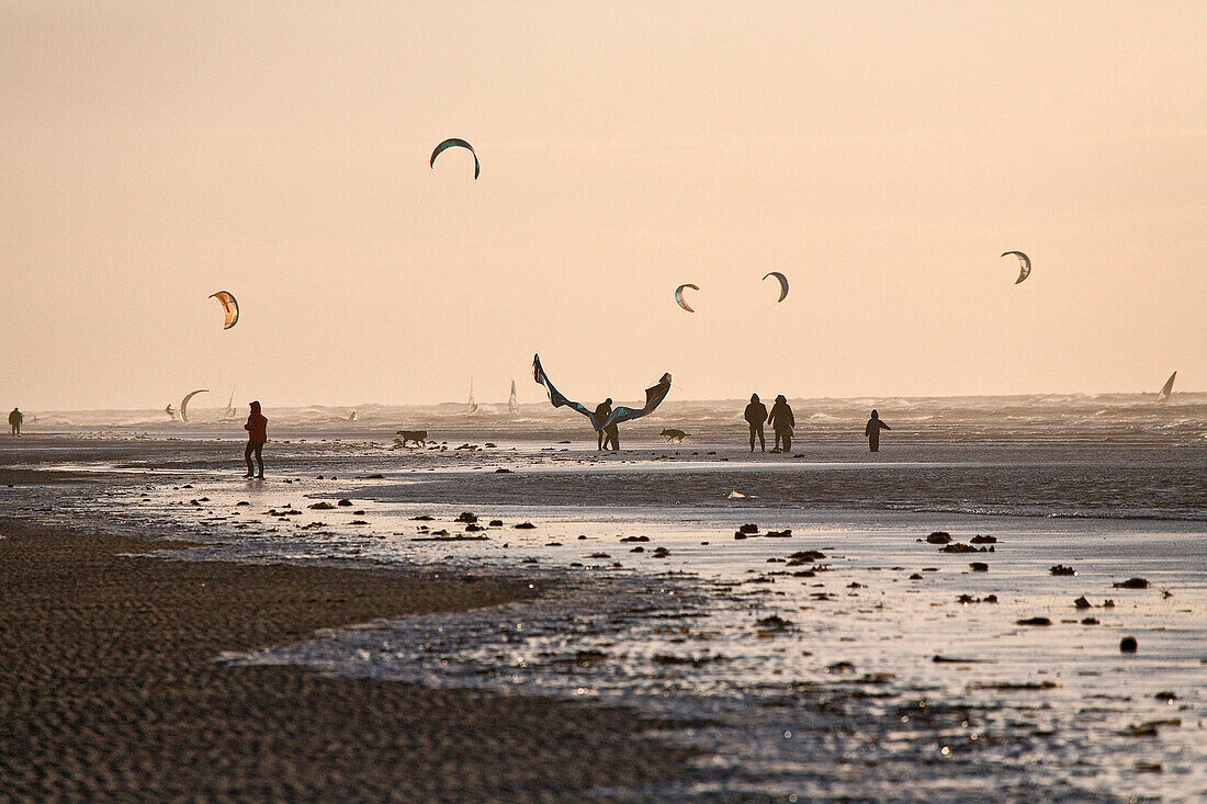 Kite surfers at beach, St Peter-Ording, Schleswig-Holstein, Germany