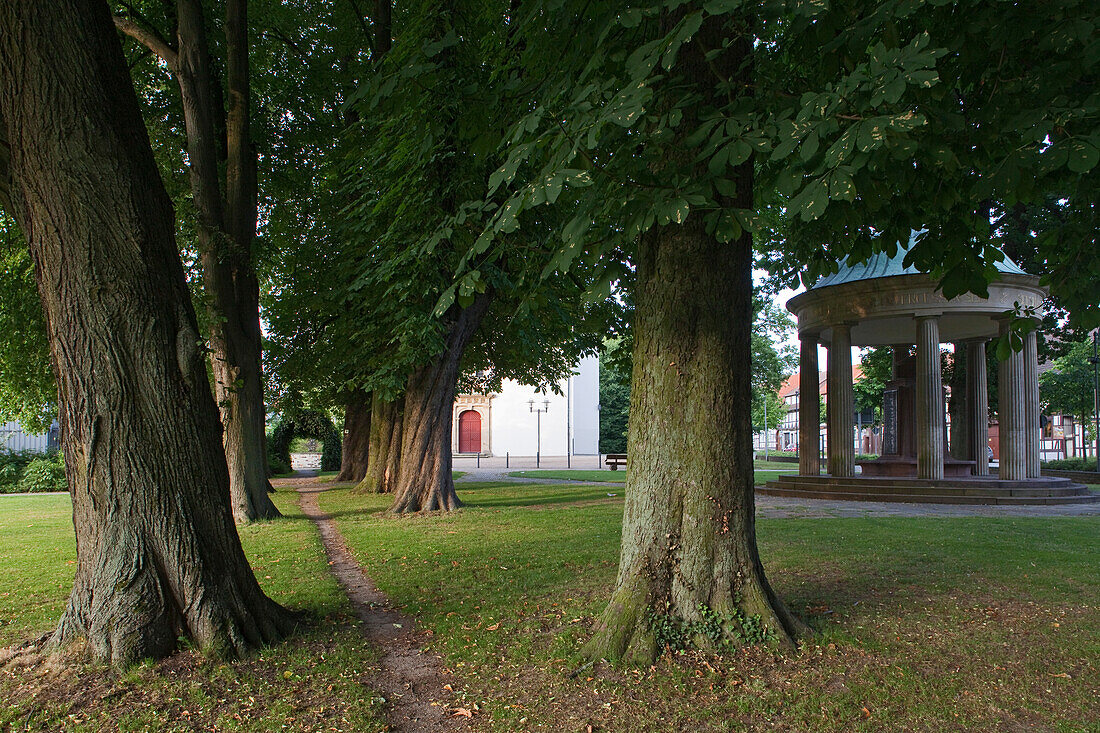 Row of chestnut trees at a war memorial in the spa park, Seesen, Lower Saxony, Germany