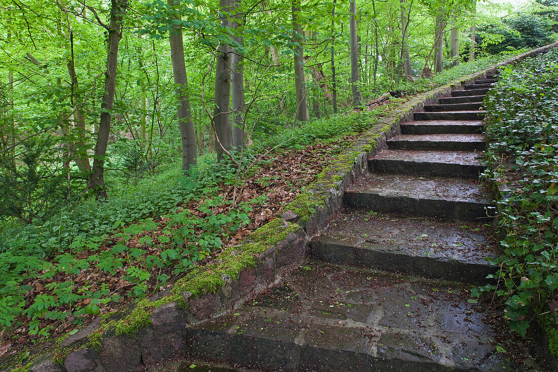 Staircase, landscape garden, Agathenburg castle, Agathenburg, Lower Saxony, Germany